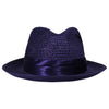 Navy Straw Hat